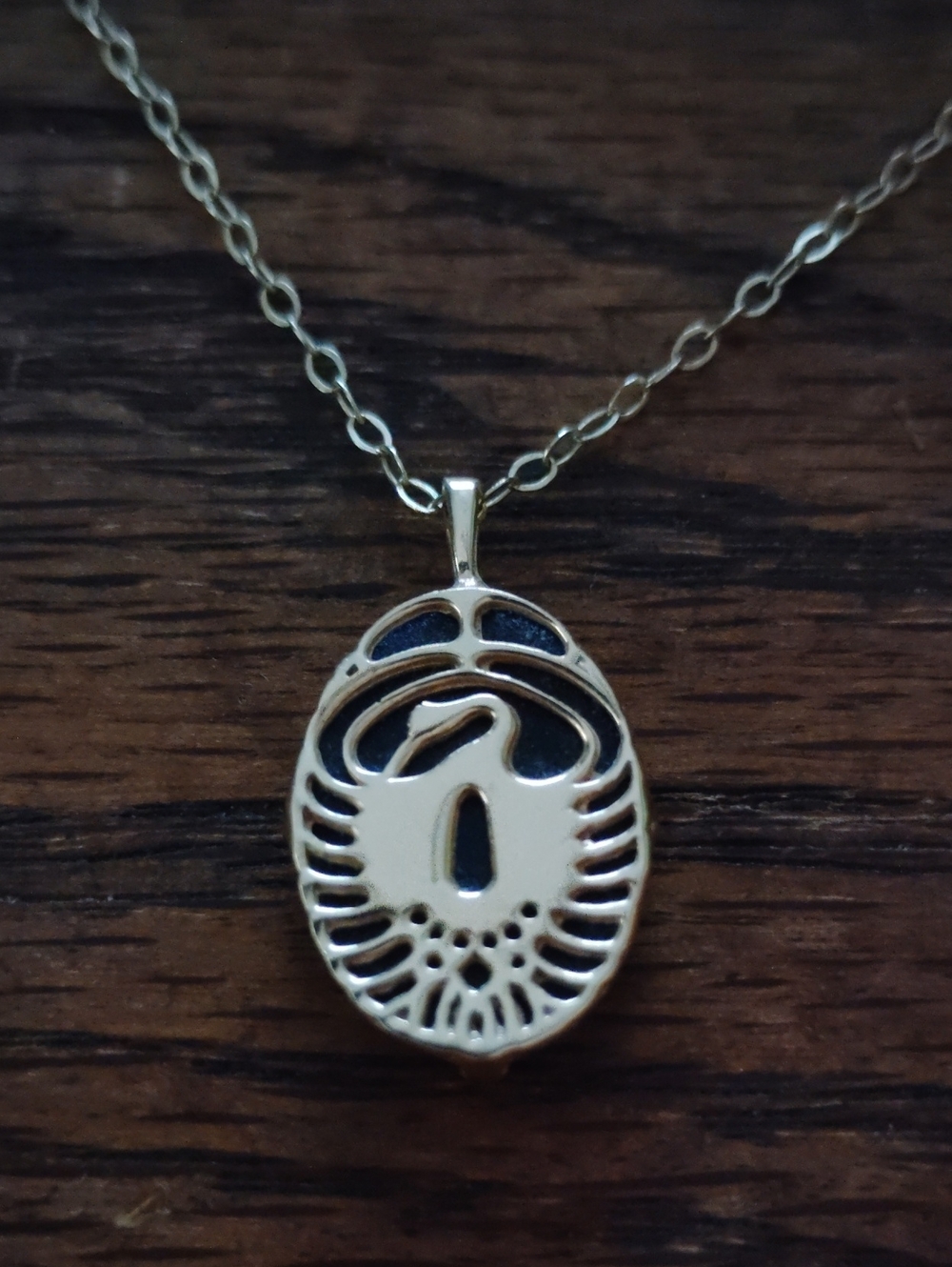 14 Kt Gold Phoenix Reborn Black Onyx Backed Necklace